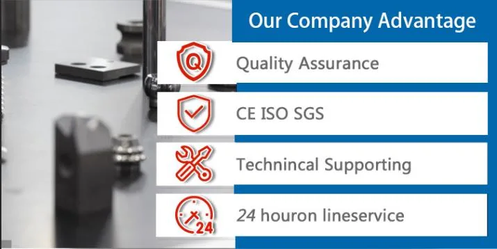 High Productivity CNC Lathe with Dual Spindle Dual Channel